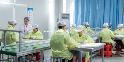 15+ Years Professional Packaging Manufacturer  Of Cosmetic Food Medicine